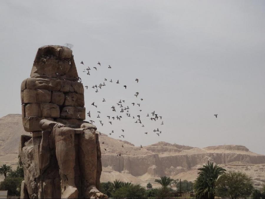 Colossi-of-Memnon-Luxor-egypt