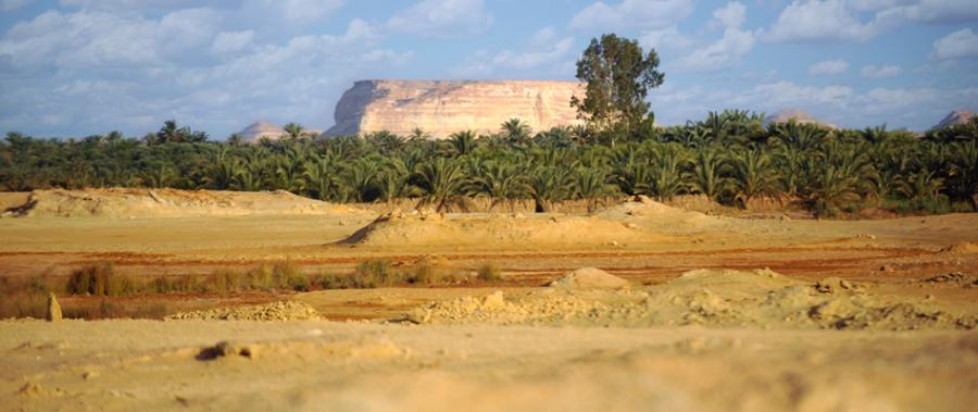 Siwa-Gabal-Dakrour-Egypt